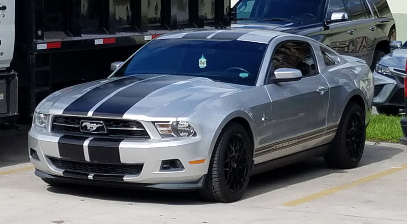 Vehicle Wraps  Clearshield Protection Palm City Florida